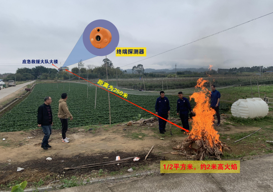 太屋林区案例